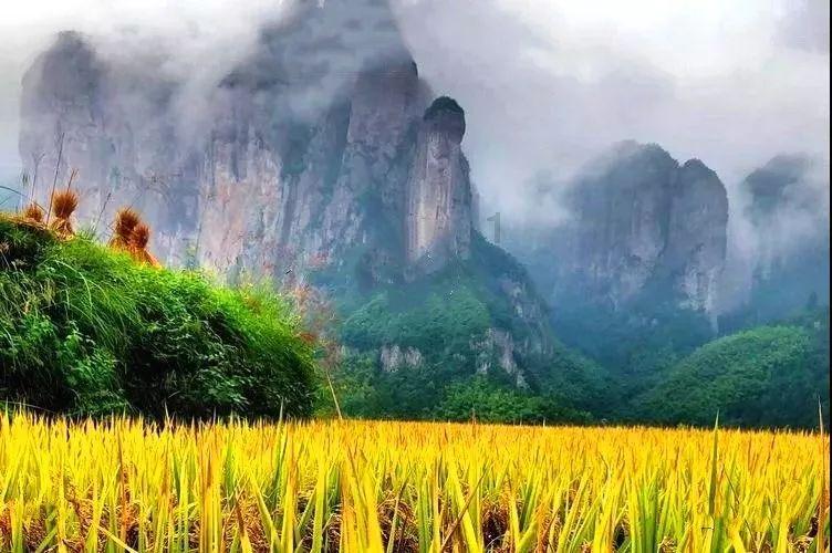 异形：隔离