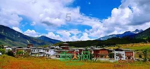 沪江开心词场