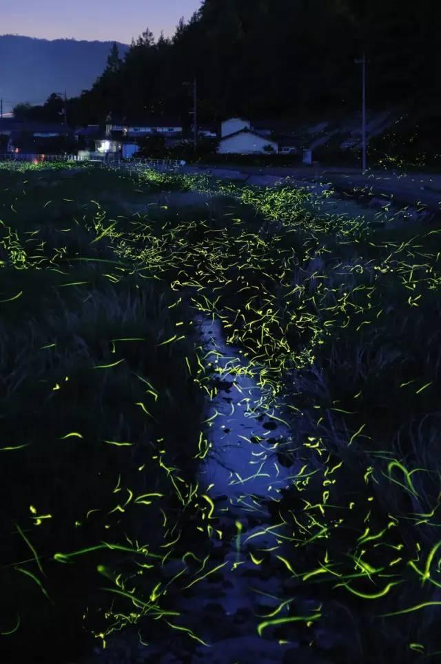 以光速离开地球一年再返回,地球上过了多久?-知识星球平台,探索更多独家知识内容