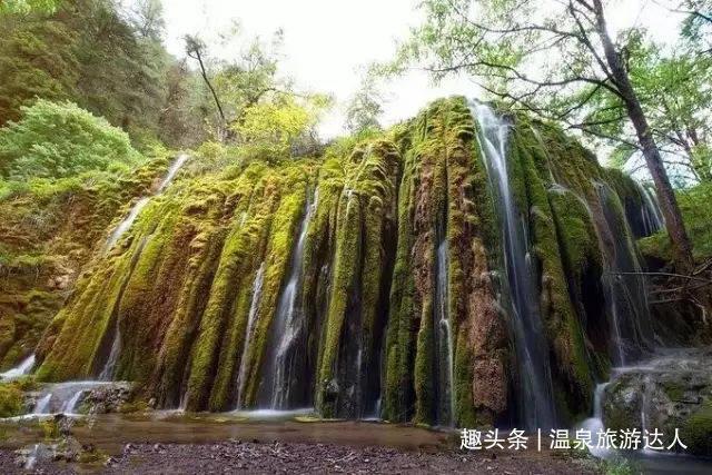 春雨直播app