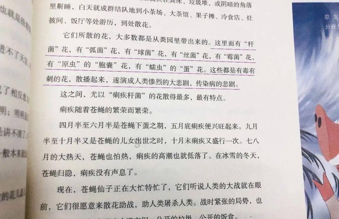 小客车出岛须凭当日船票提前3小时进港，未购当日船票不得进港！