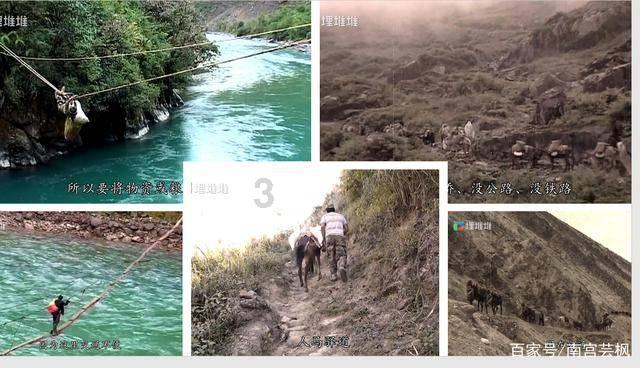 降温8℃至15℃!气象台发布预警 我省将迎本年第一轮雨雪天气