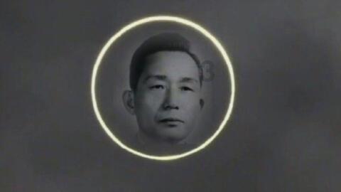 小猫钓鱼开船版最新版下载